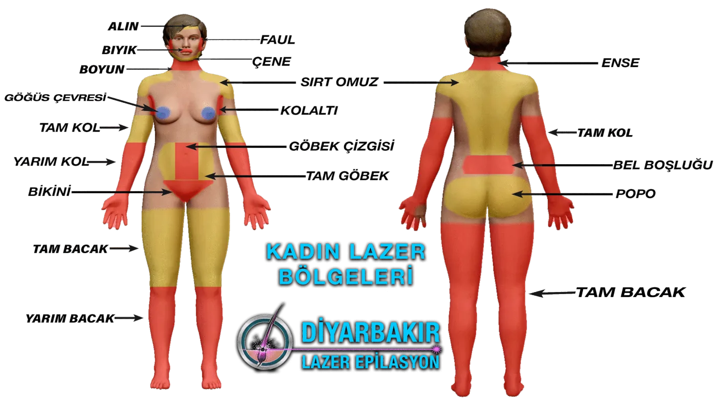Kadın lazer epilasyon bölgeleri şeması