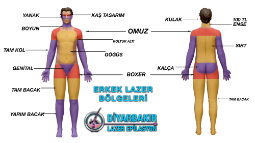 diyarbakir-erkek-lazer-epilasyon-fiyatlari1 diyarbakir-erkek-lazer-epilasyon-fiyatlari1